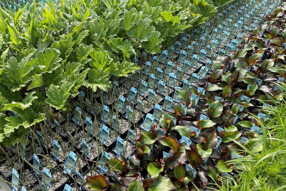 Paridon Containers About Us – Paridon